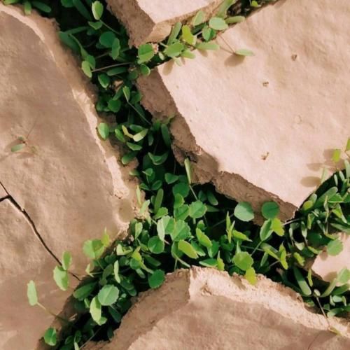 وای که چقدر قشنگی داری سر دلت با میجنگی – هوش مصنوعی