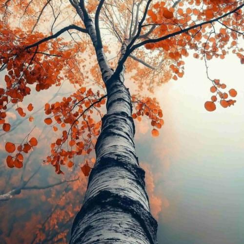 صدتا سنگ صندوق ریختیم بهم شهرو