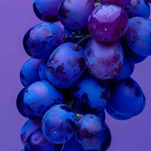 به شهر عشق نمیرم بی تو هرگز