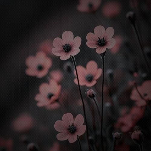 شبامون روشن و هلالی ماه همه جا سکوته