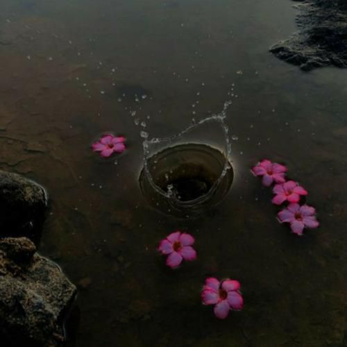 دو تا کفتر بودیم هم خون و آواز