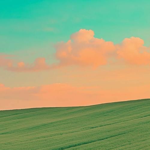 ای همسفر ای همسفر بی من مکن قصد سفر