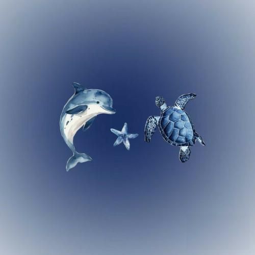 زمونه رنگارنگه شب و روزش یکی نیست