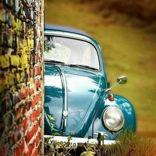 عشقم تورو دارم چه خوبه دستامو رو دستات میزارم