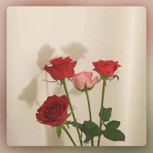 به اونجایی رسیدم که گم کردم خدامو