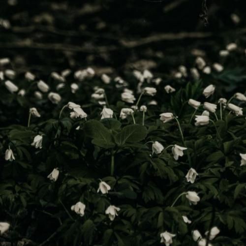 سخت نبود این دنیا خدا همین حوالی بود