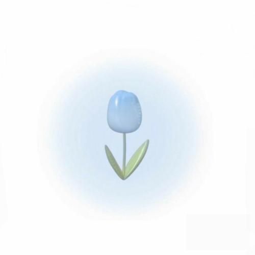  حالا دیگه تو رو داشتن خیاله دل اسیره