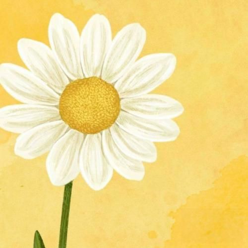  اگه خواستی بنویسی منو یکبار دیگه