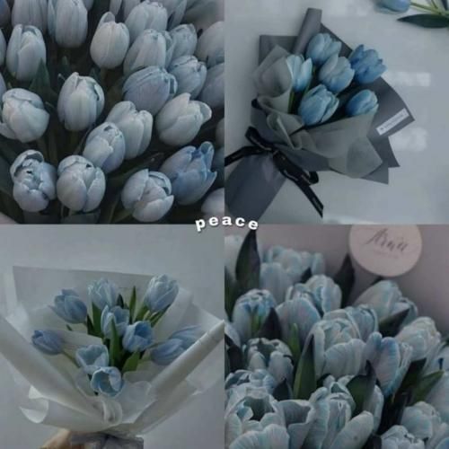 انقدر حرف زدیم که عاشقت شدم از بس شنیدمت – هوش مصنوعی