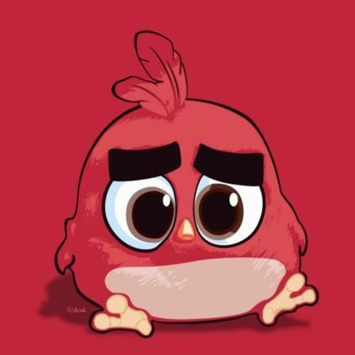 عزیز دلم اژدها یار خوشگلم اژدها