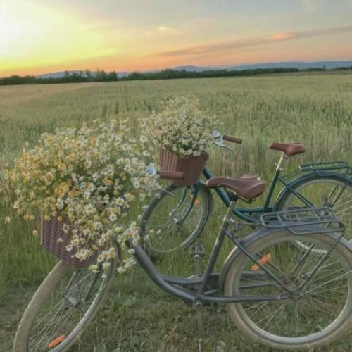  از تو با تو شکوه کردم نازنینم درد دل هام و نوشتم