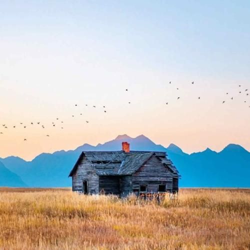 تو یار دلنوازی یه پارچه عشق و نازی