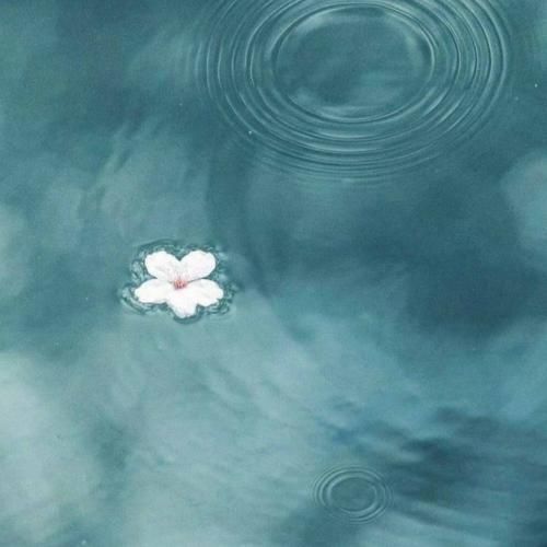 دنیا برام سرابه داد می زنم که ساقی میخونه بی شرابه