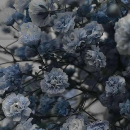 ای لحظه شیرین مستی بر من فراموشی بیار