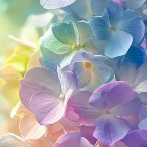 بابات موند رو حرفش داد بری کلکتو کندش