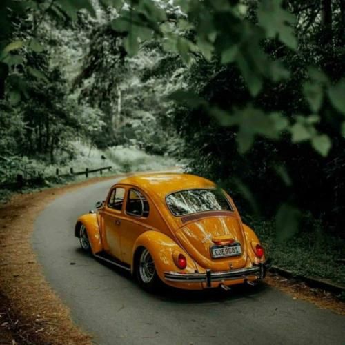  بد دردیه این عاشقی چشات شده دردسر ساز – هوش مصنوعی