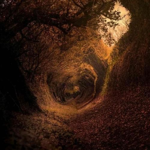  مث من کی میسوزه پای تو کی میمیره واسه چشای تو