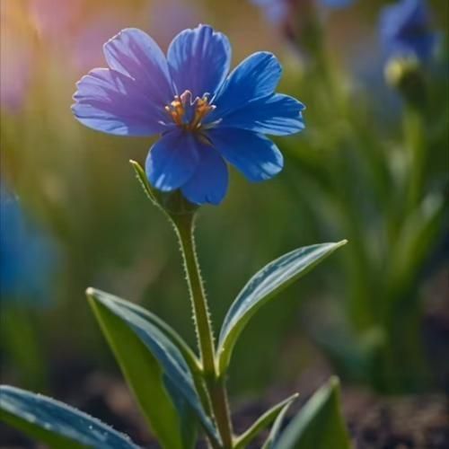  زنجیر عشقت دستمه نیاز قلب خستمه – ریمیکس اینستا