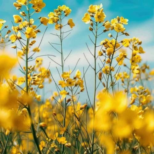  حیف حضور تو بند مو بود بعضی وقتا همچی