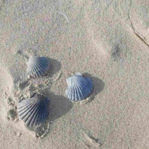 دارم به خودم میپیچم از صبح بیخود دارم تو خودم میریزم