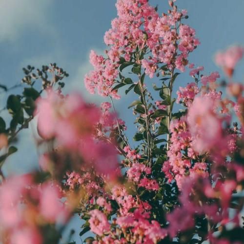 قلبمو دزدید کار داد آخر دستم اون لحظه که خندید – هوش مصنوعی