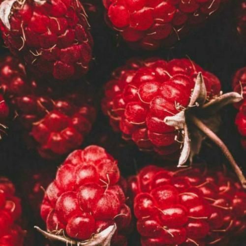 دافی داره کرمشو ولی بزی لی داره علمشو