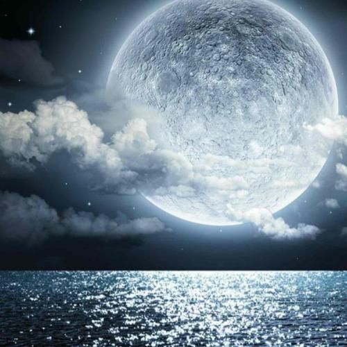 صدای زنگ در تو داری در میزنی مثل یک رویای خوش