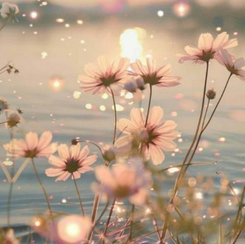  رفتی و خاطره های تو نشسته تو خیالم