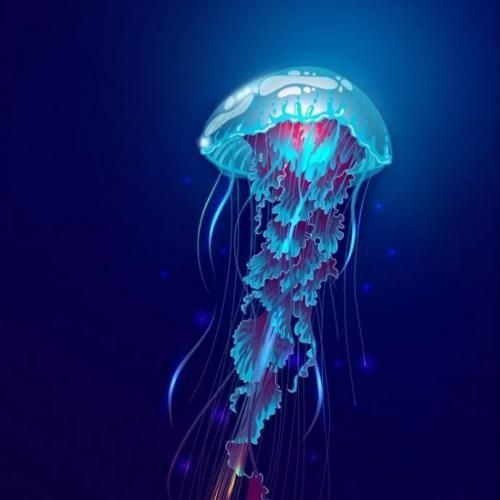 داشت وضعش توپه هلیکوپتر هلیکوپتر