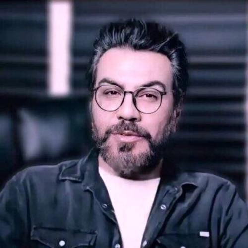 گرشا رضایی ما دوتا مثل دو پرنده یکی تو بغض یکی میخنده