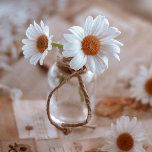 لری بابا ببین کجا ولوم مامان برد این دافه دلوم