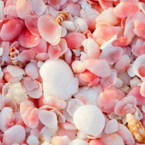  باید اشتباه بدتو جبران کنی باید استایل خوبتو اعلام کنی