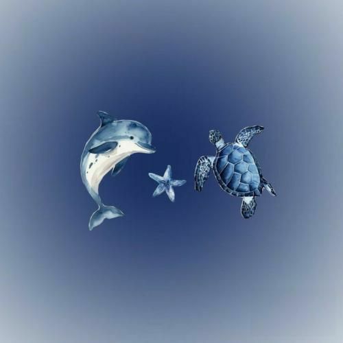 دانلود آهنگ خلیجه فارس خومونه خلیج فارس خومونه