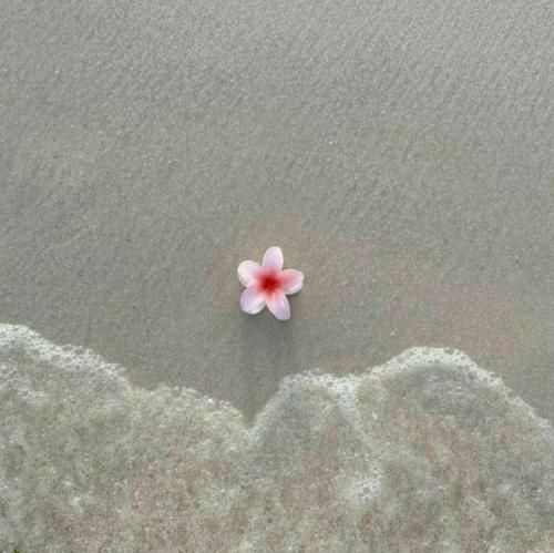 دانلود آهنگ لعنت به تو زیبای بی عاطفه با صدای دختر اینستا