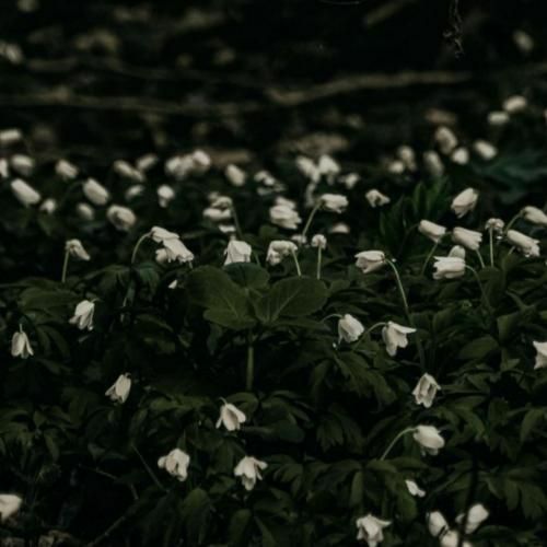 دانلود آهنگ الگانس دم دره الگانس یه بلاند دم لبه