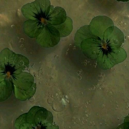 دانلود آهنگ من هروقت که چشم وا کردم بودم انگار تو برزخ