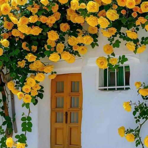 دانلود آهنگ اگه با زید قبلی تموم کردی برو بعدی