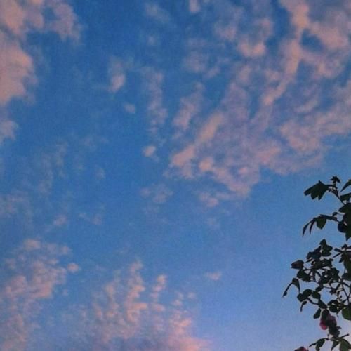 دانلود آهنگ پسر عمو جان امان از این دل یه ماچ کنم گنج