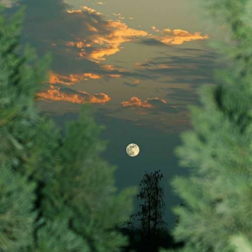 دانلود آهنگ بهترین خاطره ها مو از تو دارم توو این شبای خالی