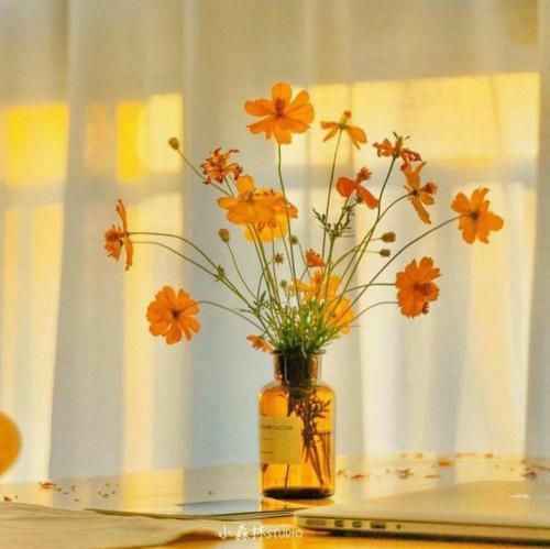 دانلود آهنگ این جا همه چی عینه قدیمه چیزی فرق نکرده