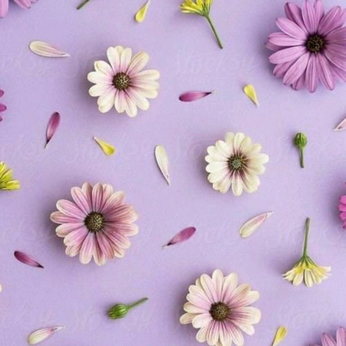 دانلود آهنگ اگه ابر بارون بشه بارون بی امون بشه