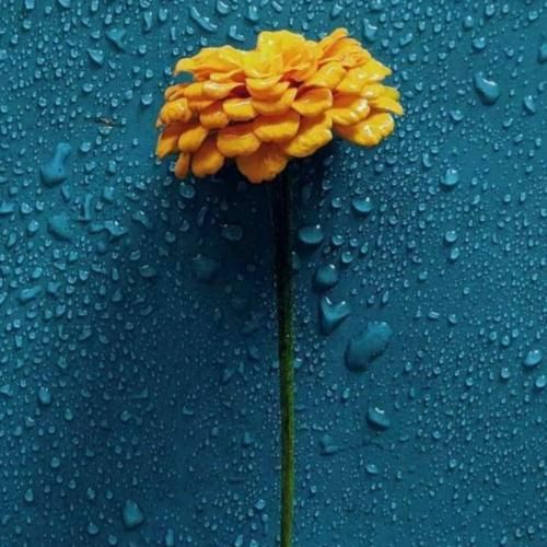 دانلود آهنگ از اولین جملت فهمیده بودم زود