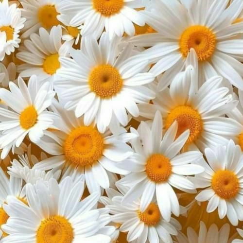 دانلود آهنگ من مردم یک سرزمین هستم به قدمت تولد انسان