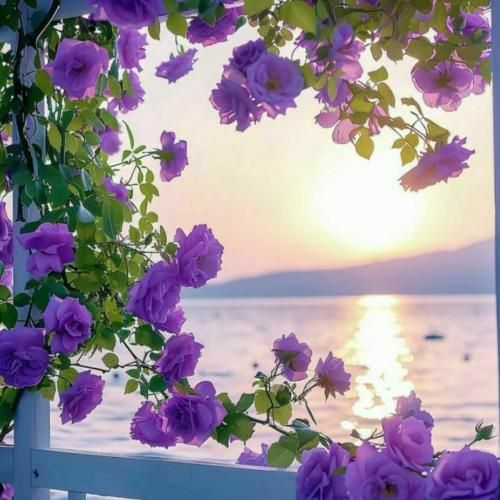 دانلود آهنگ چشاش لاولی رفتاراش تاکسیک