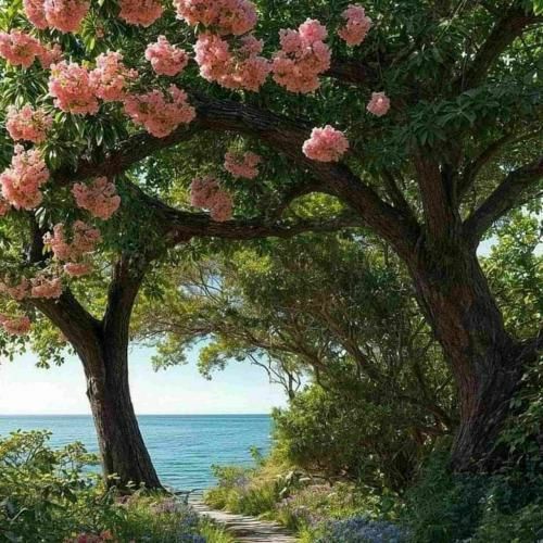 دانلود آهنگ سرویس شدم نبود کسی چپش ندید کسی ما رو