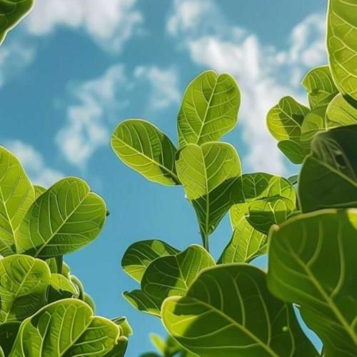  هی حالا دیدی میتونم تو بریو تنها بمونم با صدای دختر