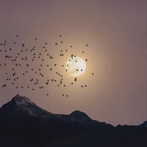  دختر ایرونی که چسو مدلی مخمو میخوری