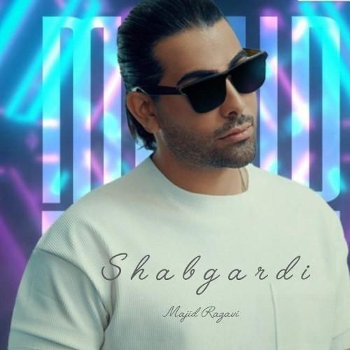 مجید رضوی شبگردی (هوش مصنوعی)