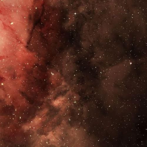  من دلم چقدر تنگه برات بگو چیکار کنم کم شه غمام