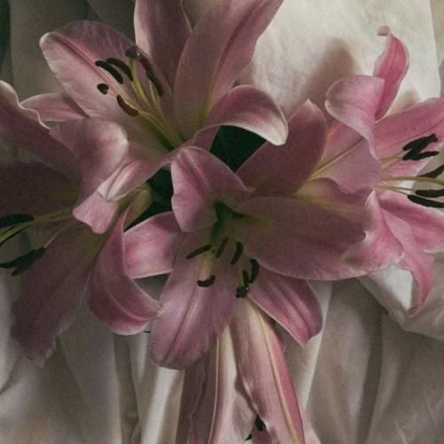  فکر کنم آخرامه بده نجاتم من گم‌ شدم نمیاد صدامم